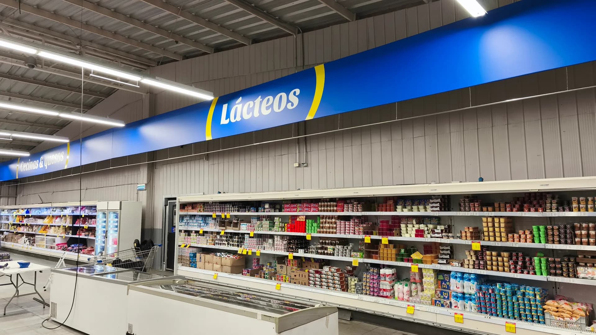 Cenefa azul sección Lácteos Supermercado Alvi Puerto Montt